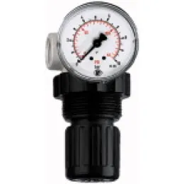 Riegler Druckregler »Standard-mini« inkl. Manometer BG 0