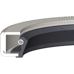 Dichtomatik Wellendichtring mit Feder WC