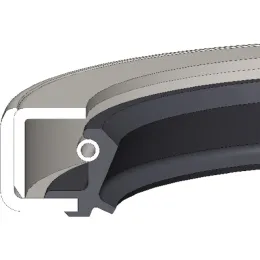 Dichtomatik Wellendichtring mit Feder WCS