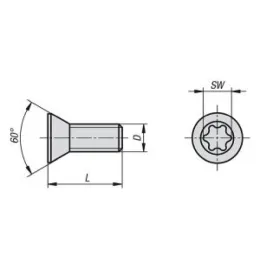 Befestigungsschraube M05x17 Stahl für Schlitten 21000-050.../-120 Norelem