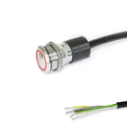 Ganter Schalter mit Leucht-Drucktaster GN3310