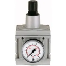 Riegler Druckregler »multifix« inkl. Manometer BG 5