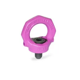 Ganter Drehbare Ringschrauben GN581