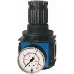 Riegler Druckregler »variobloc« inkl. Manometer BG1
