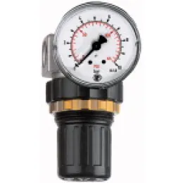Riegler Druckregler »Standard-mini« Schalttafelmutter