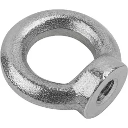 ähnlich DIN582 Edelstahl D1=M10 Kipp
