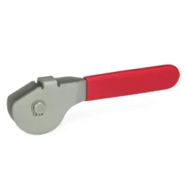 Ganter Hebel mit Spiralexzenter, Edelstahl GN917.1