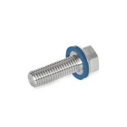 Ganter Schrauben, Edelstahl, FKM, Hygienic Design GN1581-M5