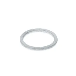 Ganter Dichtringe, Edelstahl DIN7603