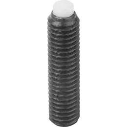 M6x21,3 mit Kunststoffbolzen pom Kipp