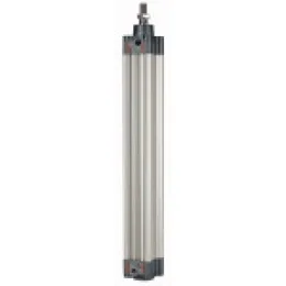 Riegler Normzylinder doppeltwirkend Magnet Kolben-Ø 100 mm