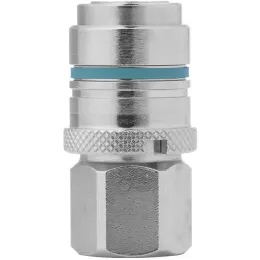Kupplung G 1/4" IG, FKM Edelstahl Cejn