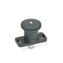 Ganter Miniraster GN822.8