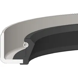 Dichtomatik Wellendichtring mit Feder WB