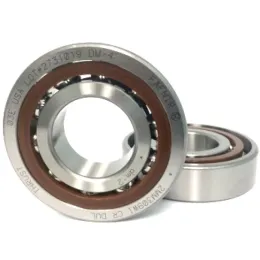 3MM306WICRDUL Timken