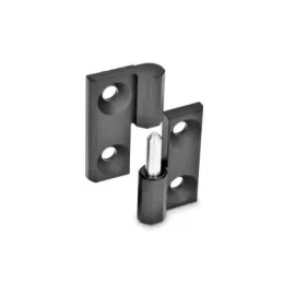 Ganter Scharniere, aushängbar, Rechts, Schwarz GN337