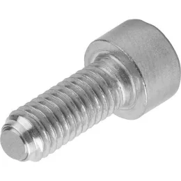 Form B Edelstahl mit Kopf, D1=M5, L2=12 Kipp