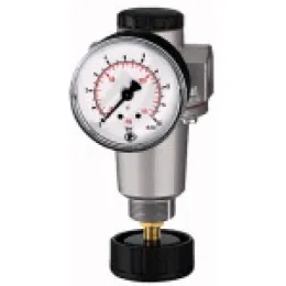 Riegler Druckregler »Standard« inkl. Manometer BG1