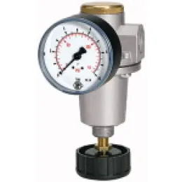 Riegler Druckregler »Standard« inkl. Manometer BG2