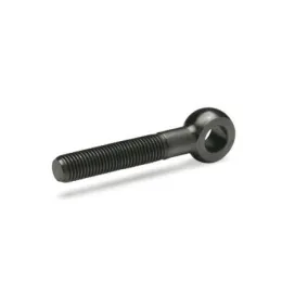 Ganter Augenschrauben GN1524