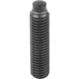 mit Ansatzkuppe M5x21 Kipp