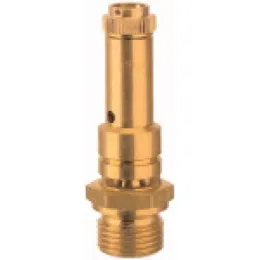 SW 20 Riegler