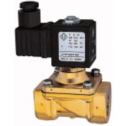 24 V DC 50-60 Hz 14 W NBR+PA G1 PN0-6 bar Riegler