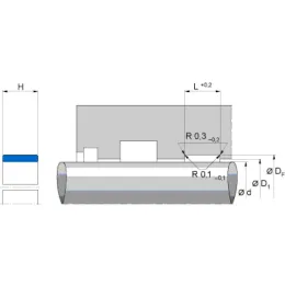 SF 125X130X14,8X2,5 PTFE B500 Freudenberg