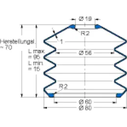 MFB V6-565 19X60X70 42CR764 Freudenberg