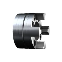 KTR Servokupplung ROTEX® GS 48 Spannringnabe