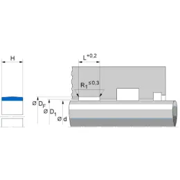 SBK 250X255X14,8X2,5 HGW HG517 Freudenberg