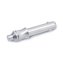 Ganter Kugelsperrbolzen, Edelstahl GN113.3-12
