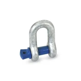 Ganter Schäkel, gerade GN584