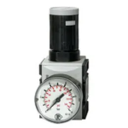 Riegler Präzisionsdruckregler »FUTURA« mit Manometer BG1
