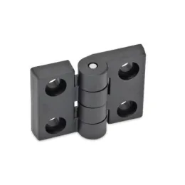 Ganter Scharniere GN157