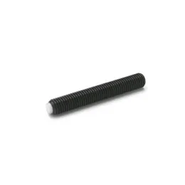 Ganter Gewindestifte GN913.3-M5, Kunststoff (Polyacetal POM)