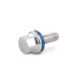 Ganter Schrauben, Edelstahl, FKM, Hygienic Design GN1580-M12