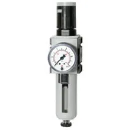 Riegler Filterregler »FUTURA« PC, Schutzkorb Manometer BG2