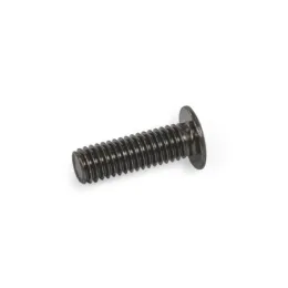 Ganter Zylinderschrauben GN14580.5