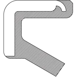 312518 SEAL Timken