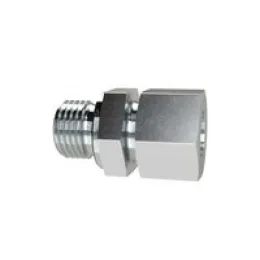 Riegler Gerade Einschraubverschraubung NPT 1/4 Rohr-Ø 10 mm