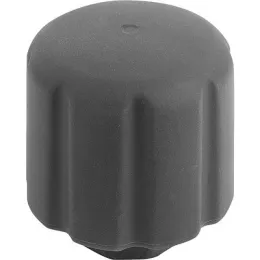 D1=50, M6 Edelstahl Kipp