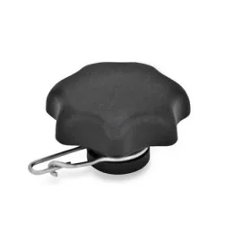 Ganter Sterngriffe mit Verliersicherung GN6336.13