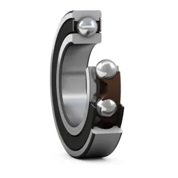 6008-2RS1TN9/C4HGJN SKF