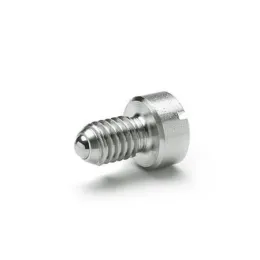 Ganter Federnde Druckstücke, Edelstahl GN815