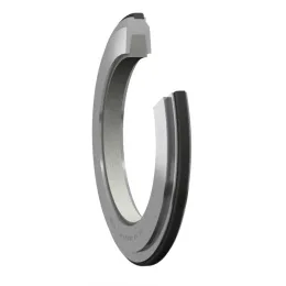 SKF Filzdichtung für Gehäuse TSN