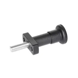 Ganter Rastbolzen GN817.9