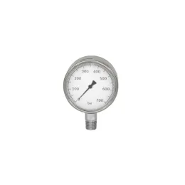PUMP700.MANO Schaeffler