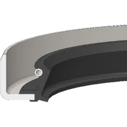Dichtomatik Wellendichtring mit Feder WBS